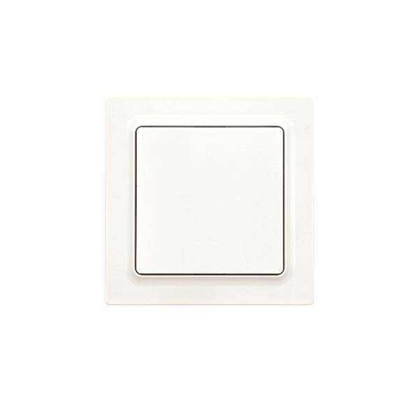 Eltako Wippschalter WS55E-pm