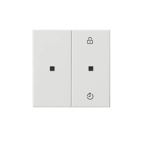 Gira Funk-Bedienaufsatz 549303