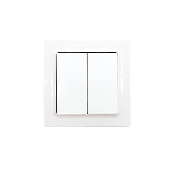 Eltako Funktaster F4T55EOR-wg