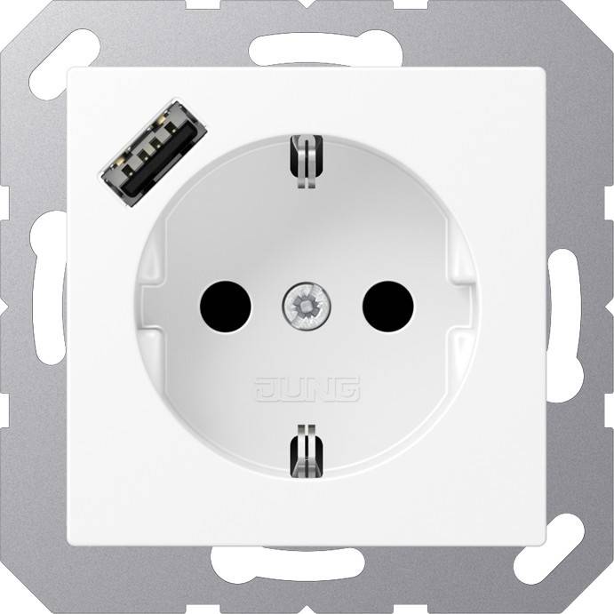 Jung SCHUKO Steckdose A 1520-18 A WWM