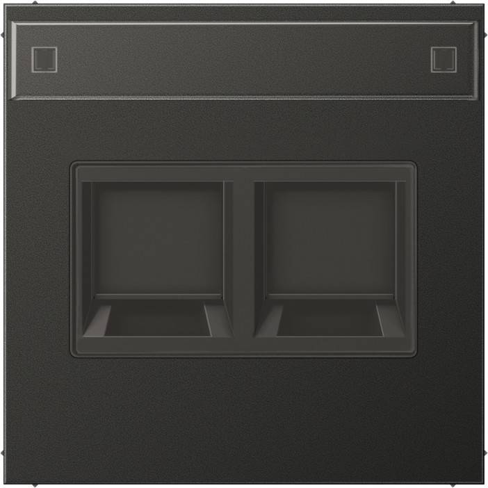 Jung Abdeckung 2-fach AL 1969-2 NA WE AN