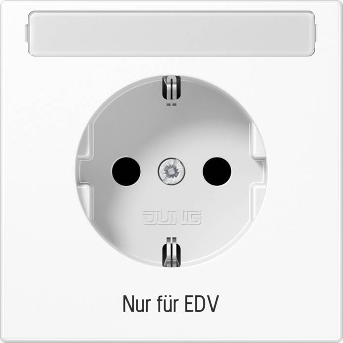 Jung SCHUKO Steckdose LS 1520 NA EDV WW