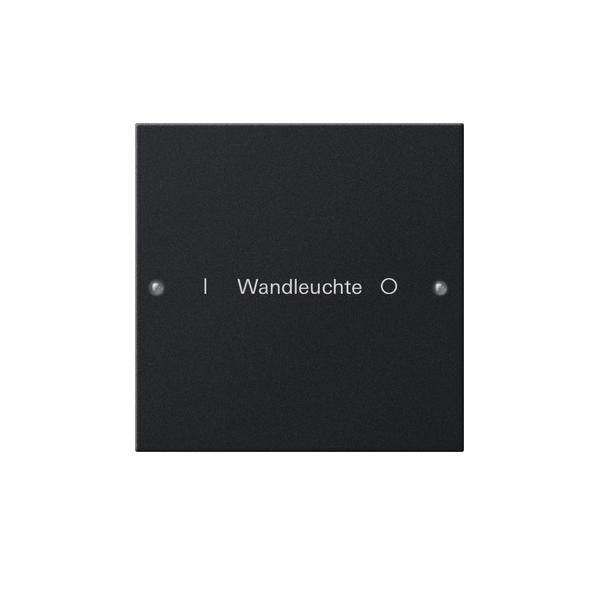 Gira Wippenset 1-fach 2201005
