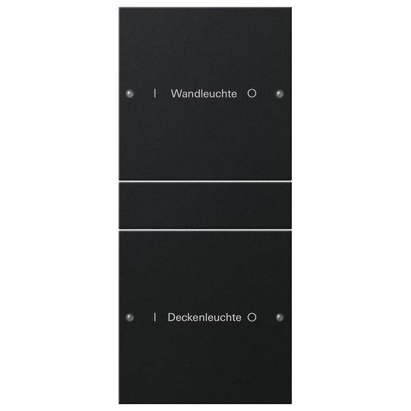 Gira Wippenset 2-fach 2202005