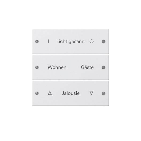 Gira Wippenset 3-fach 220303