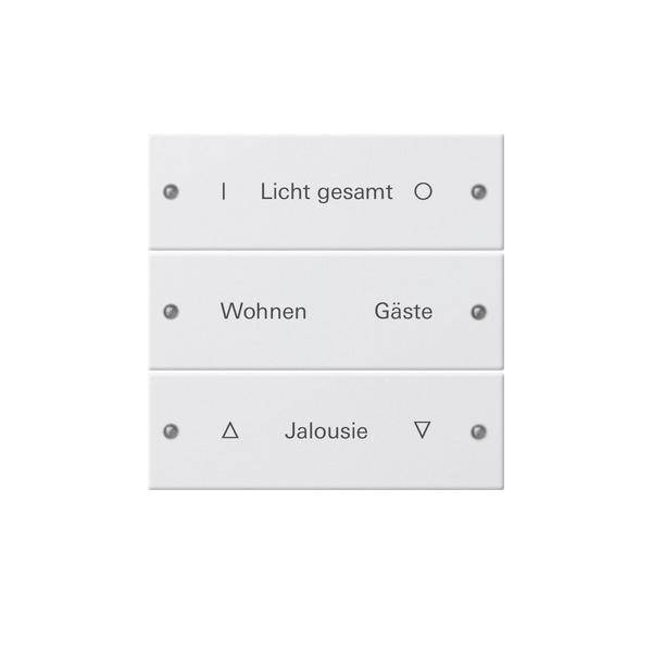 Gira Wippenset 3-fach 220327