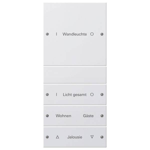 Gira Wippenset 4-fach 220403