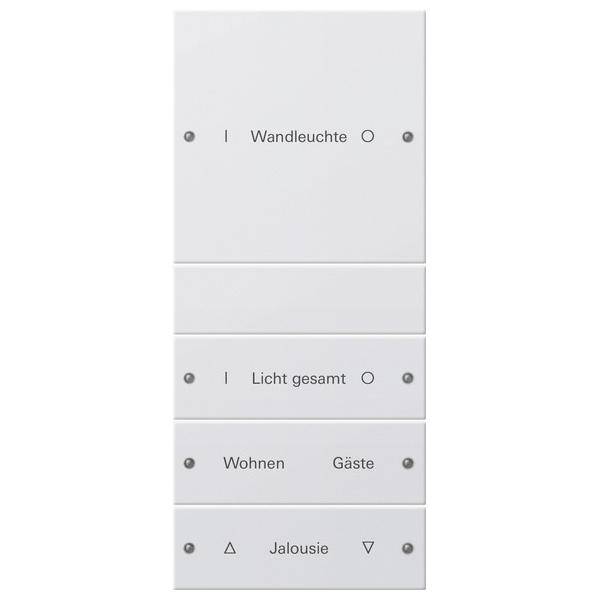 Gira Wippenset 4-fach 220427