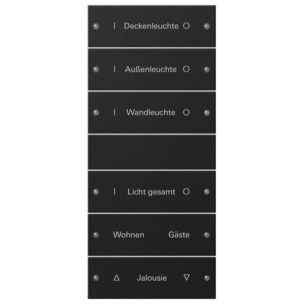 Gira Wippenset 6-fach 2206005