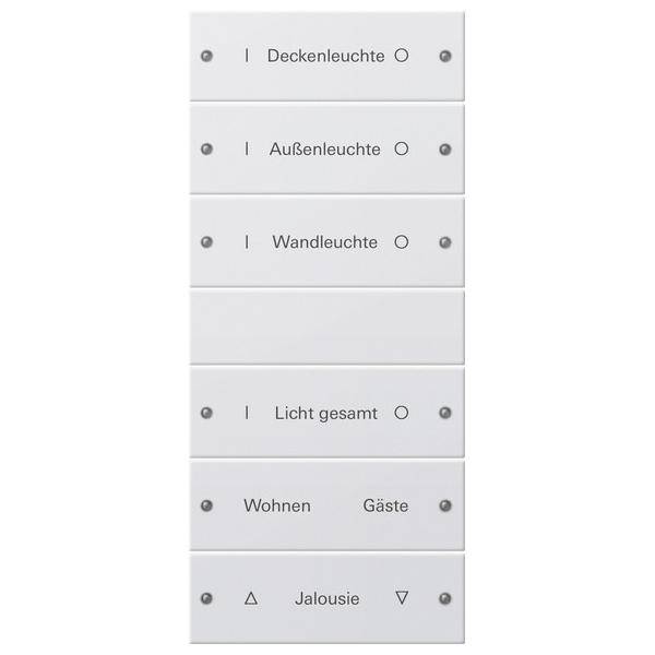 Gira Wippenset 6-fach 220603