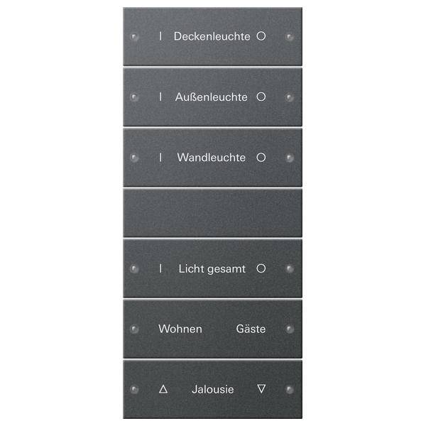 Gira Wippenset 6-fach 220628