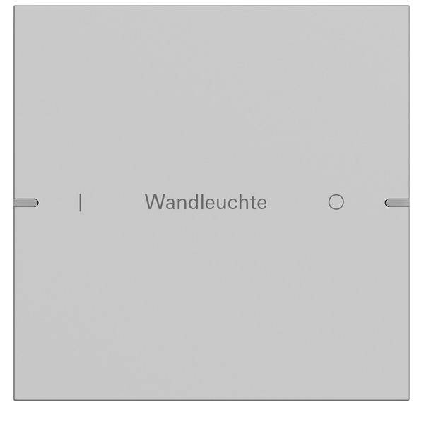 Gira Wippenset 1-fach 5031915