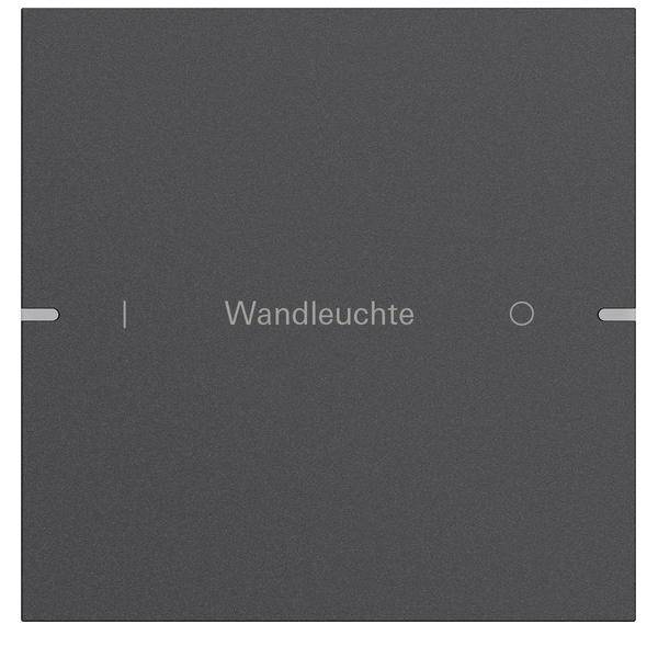 Gira Wippenset 1-fach 5031928