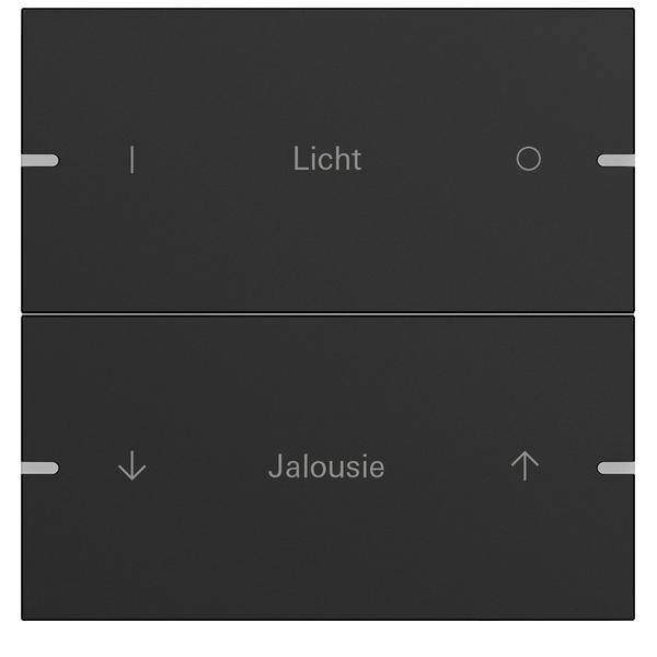 Gira Wippenset 2-fach 5032905