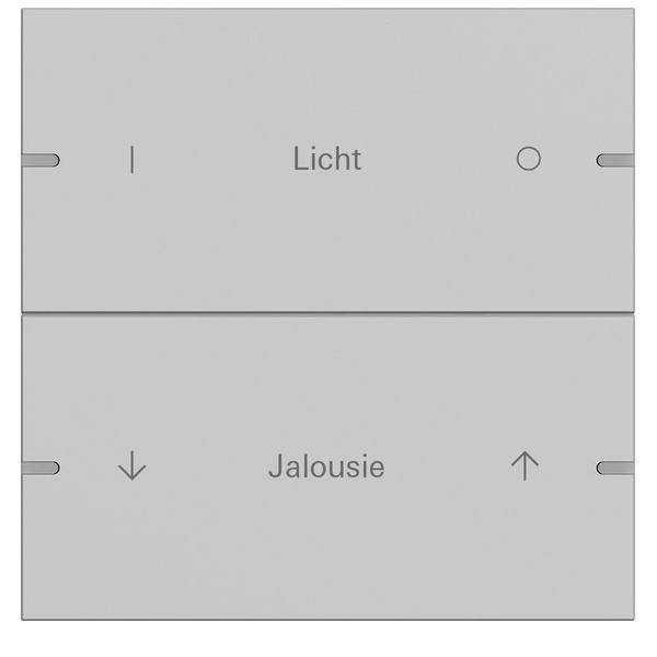 Gira Wippenset 2-fach 5032915