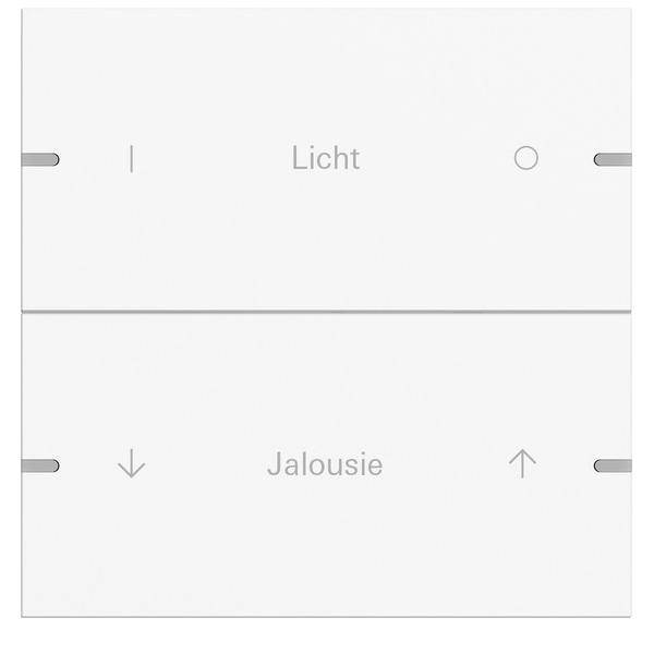 Gira Wippenset 2-fach 5032927