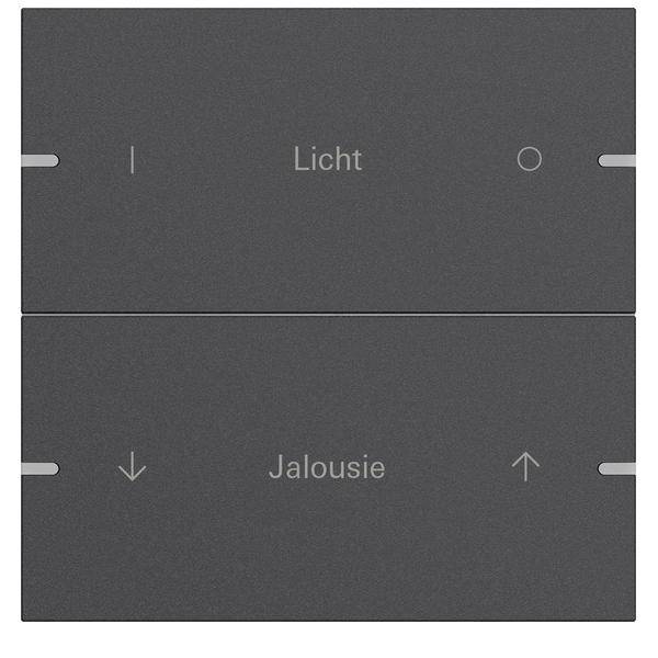 Gira Wippenset 2-fach 5032928