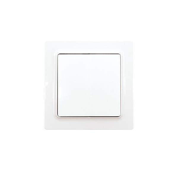 Eltako Funktaster F2T55EOR-wg