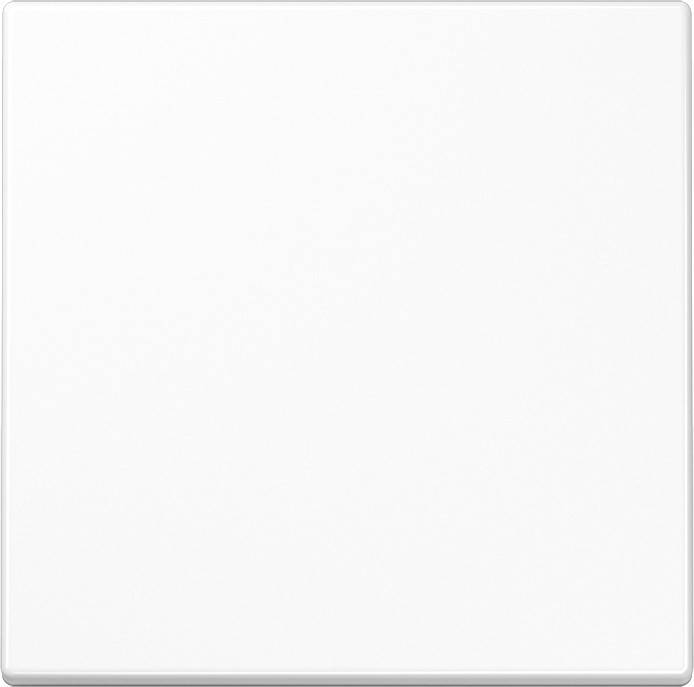 Jung Funk-Wandsender aws ENO LS 990 WW