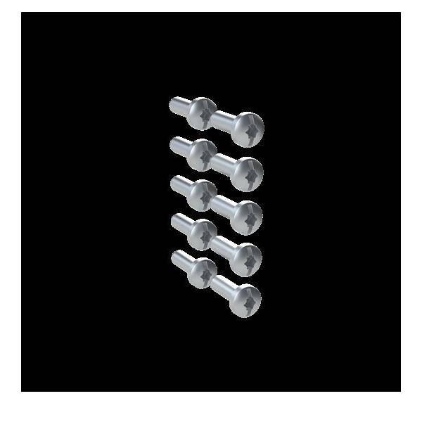 Striebel&John Schrauben ZX287P10