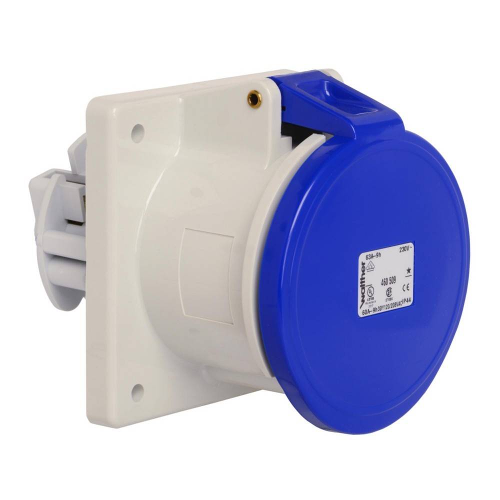Eine wandmontierte blaue und weiße industrielle Elektrosteckdose mit Spezifikationsetikett, ausgelegt für Hochleistungsanschlüsse.