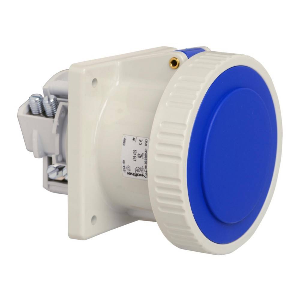 Weiße und blaue elektrische Wandsteckdose mit Schutzkappe, Seitenansicht inklusive interner Verdrahtungskomponenten.