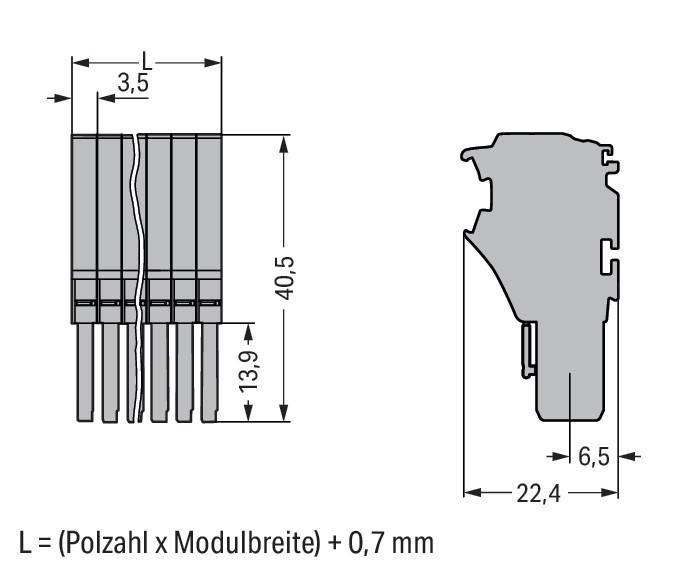 WAGO GmbH & Co. KG Federleiste 2020-103