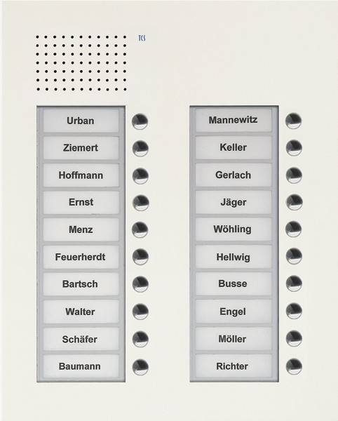 TCS Tür Control Audio Außenstation PUK 20 PUK20/2-WS