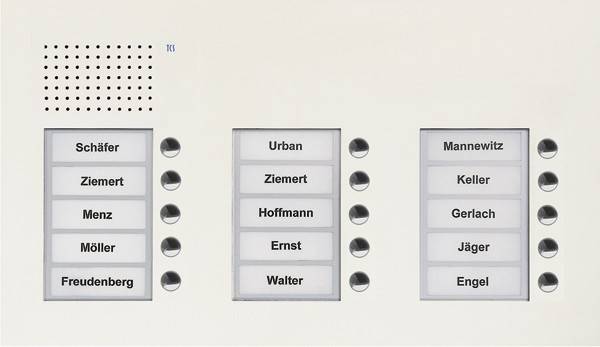 TCS Tür Control Audio Außenstation PUK 15 PUK15/3-WS