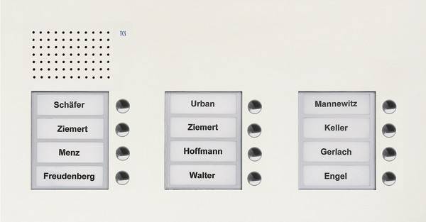 TCS Tür Control Audio Außenstation PUK 12 PUK12/3-WS