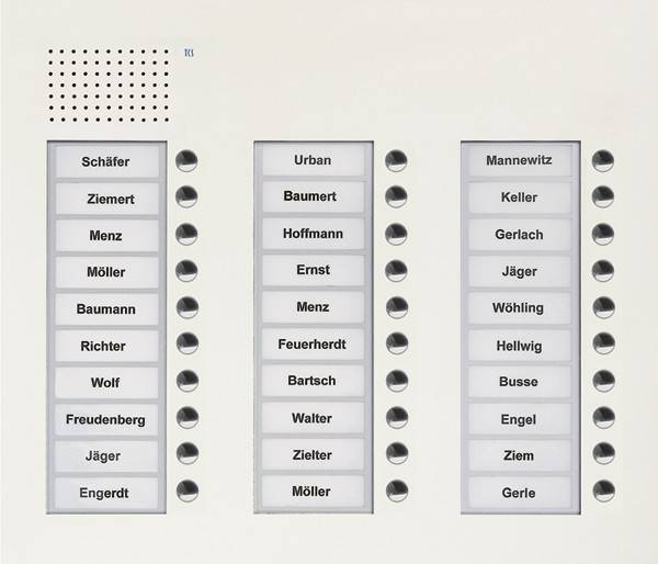 TCS Tür Control Audio Außenstation PUK 30 PUK30/3-WS