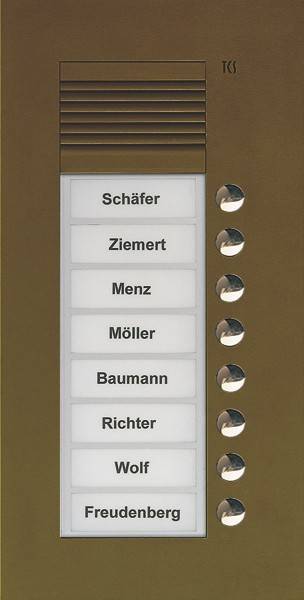 TCS Tür Control Audio Außenstation PUK 8 PUK08/1-EB