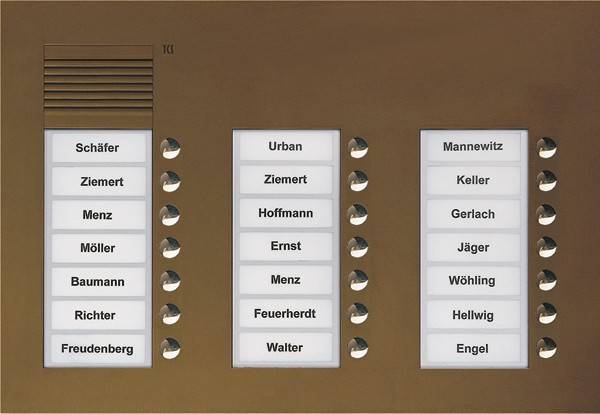 TCS Tür Control Audio Außenstation PUK 21 PUK21/3-EB