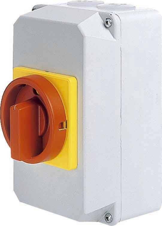 Elektra Tailfingen Haupt-Not-Schalter D1 31/HS-G32/2-D-MRG