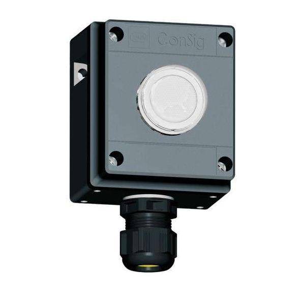 Stahl Leuchtmelder 8040/1180X-54C03SA70