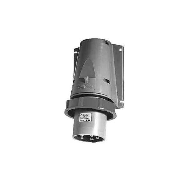 Elektra Tailfingen Cekon-Wandgerätestecker CGW 532/6H #110404