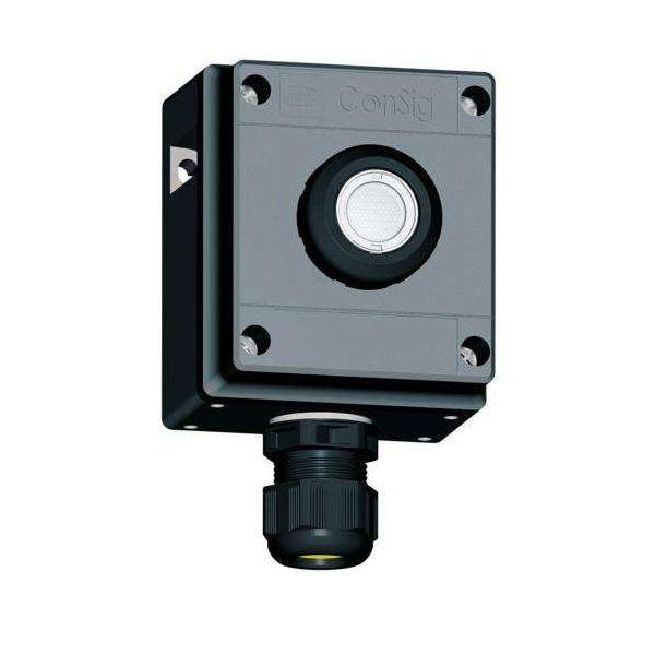 Stahl Leuchtdrucktaster 8040/1180X-35C06SA45