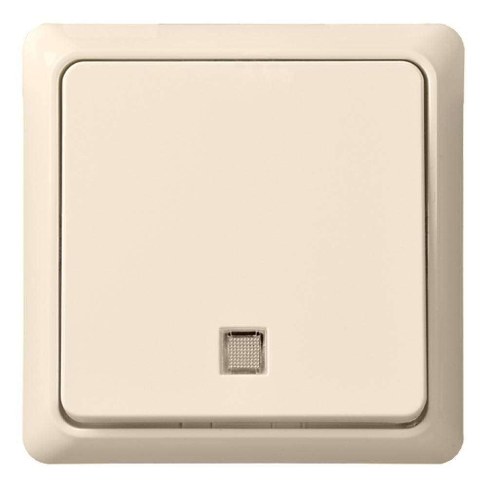 Lichtschalter auf einer beigen Wandplatte, zentriert innerhalb eines rechteckigen Rahmens.