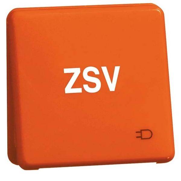 Peha Steckdose D80.6611K WU OR ZSV