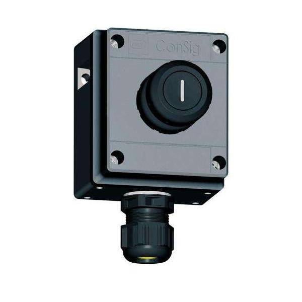 Stahl Pilzdrucktaster 8040/1180X-03L24SA05