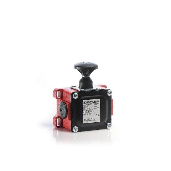 Bernstein Grenztaster D-U1 PW