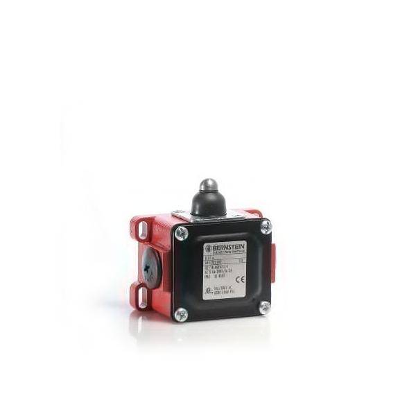 Bernstein Grenztaster D-U1 W #616041103002