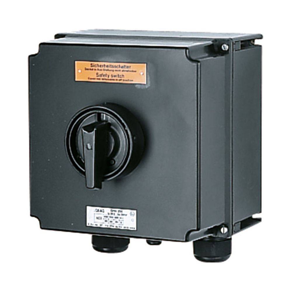 Ceag Sicherheitst. Sicherheitsschalter GHG 264 0020 R0001