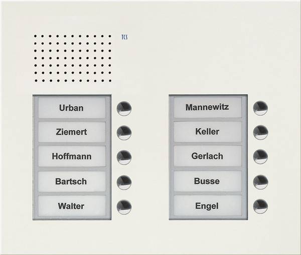 TCS Tür Control Audio Außenstation PUK 10 PUK10/2-WS