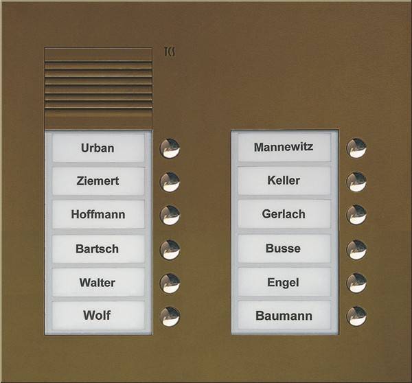 TCS Tür Control Audio Außenstation PUK 12 PUK12/2-EB