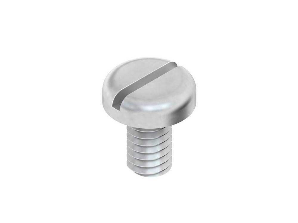 Eine Nahaufnahme einer silbernen Schlitzschraube mit ihrem zylindrischen Kopf und gewindeten Schaft vor einem einfarbigen weißen Hintergrund.