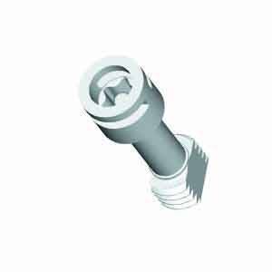 Spelsberg Deckelschraube TK DS-ku/g/T40