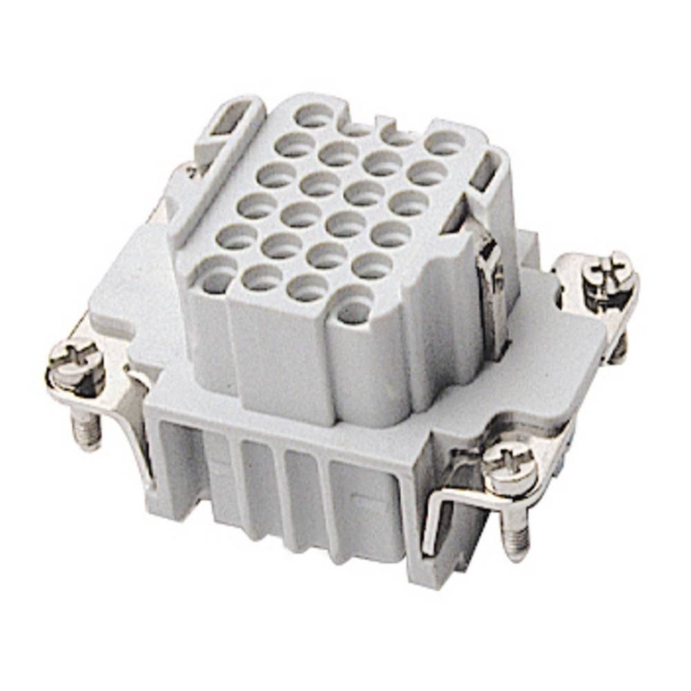 Eine Nahaufnahme eines grauen industriellen elektrischen Anschlusses mit mehreren Löchern, montiert auf einem Metallhalter mit Schrauben an den Ecken.