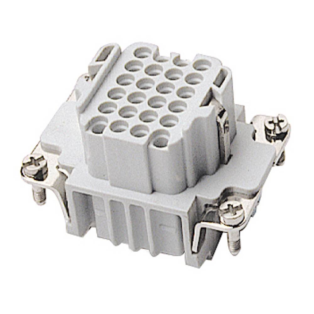 Walther Werke Kontaktträger DD24 750124