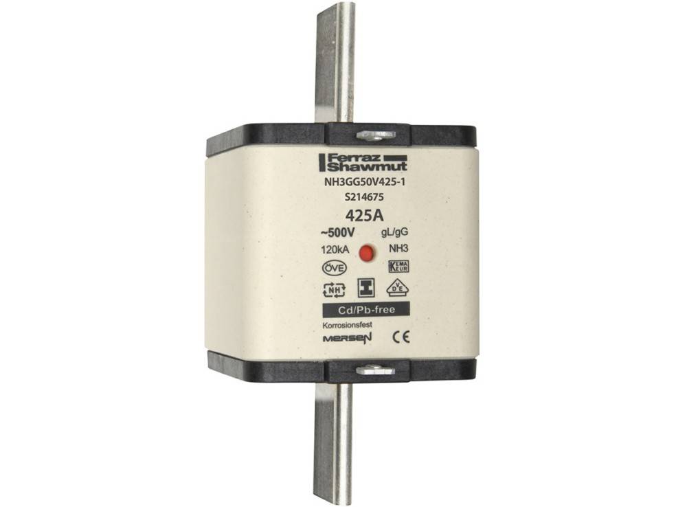 Mersen Sicherungseinsatz NH Sond. NH22GG50V100